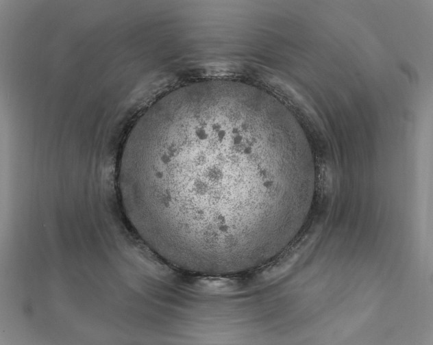 X0000112760557200908271621