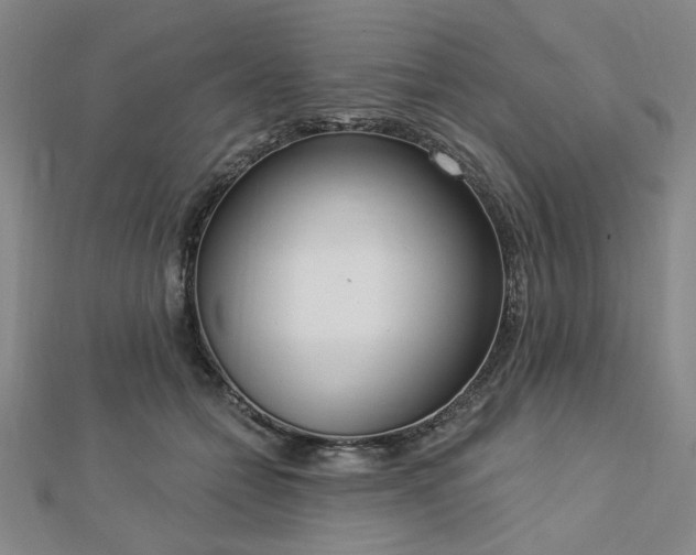 X0000112760558200908271621