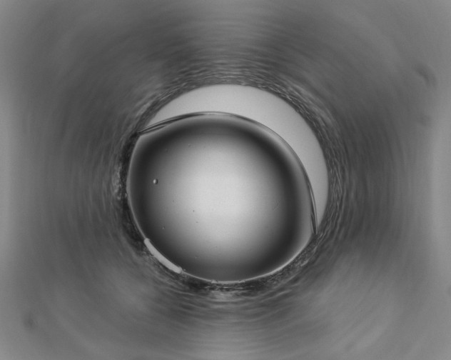 X0000112760560200908271621