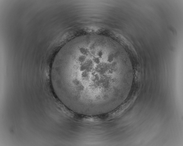 X0000112760561200908271621