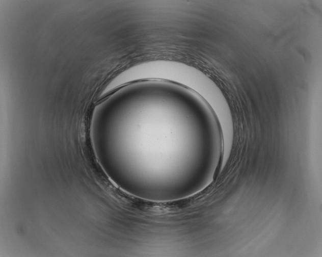 X0000112760562200908271622