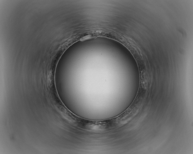 X0000112760563200908271622
