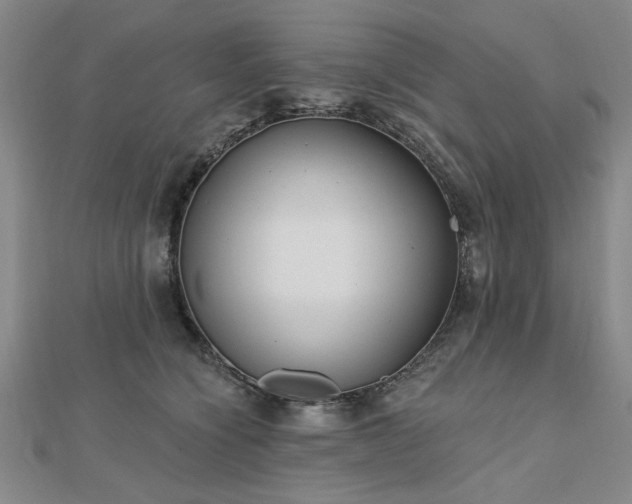 X0000112760564200908271622