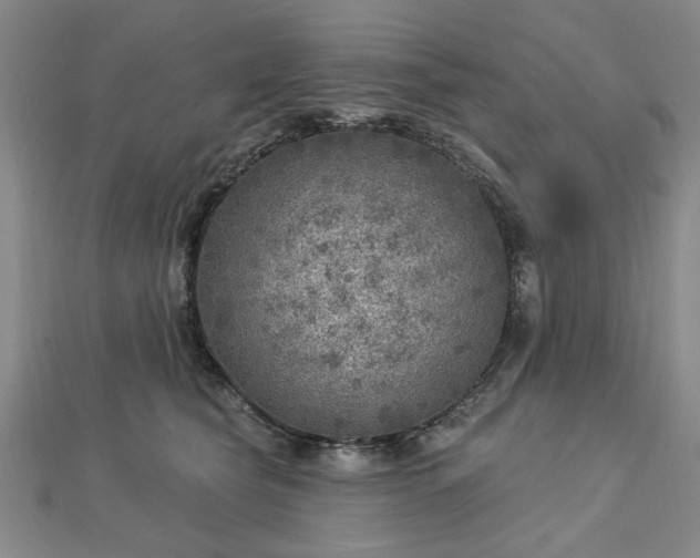 X0000112760565200908271622