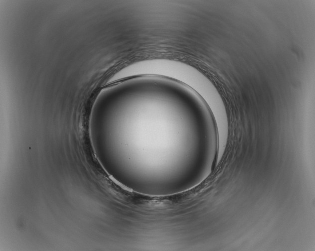 X0000112760566200908271622