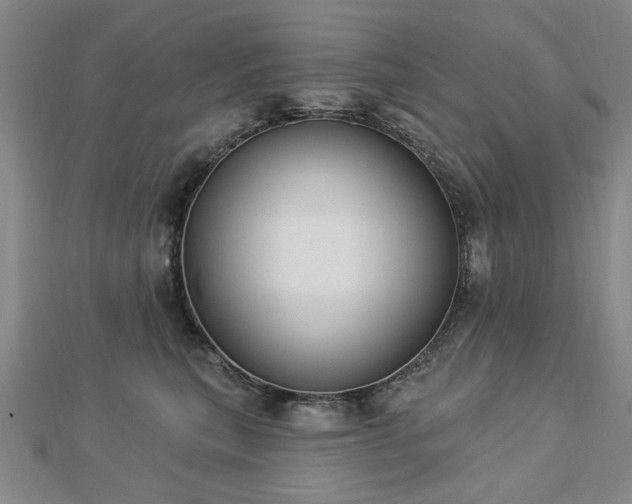 X0000112760567200908271622