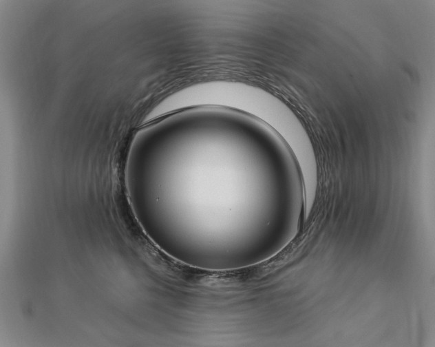 X0000112760568200908271622