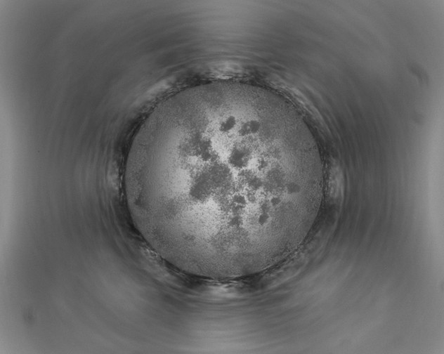 X0000112760569200908271622