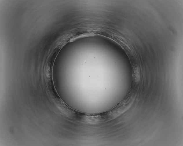 X0000112760571200908271622