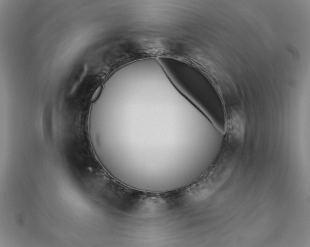 X0000112760572200908271622