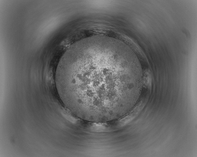 X0000112760573200908271622