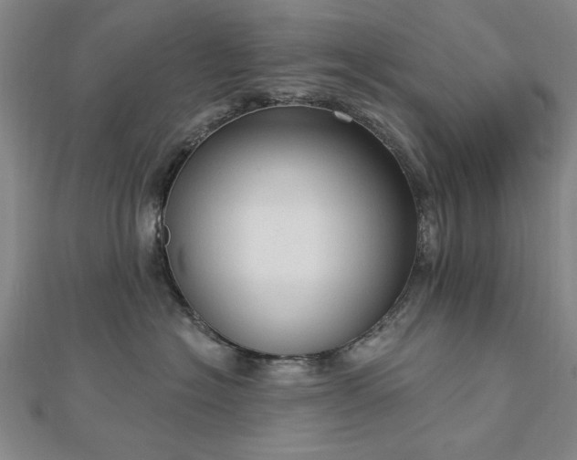 X0000112760574200908271622