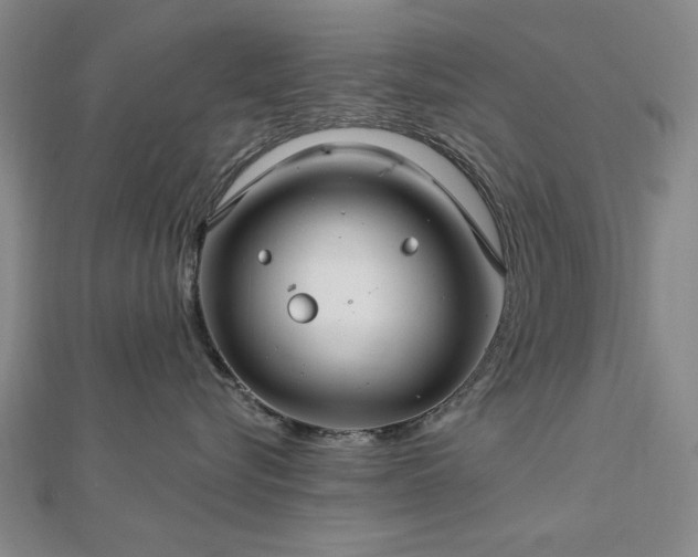 X0000112760576200908271622