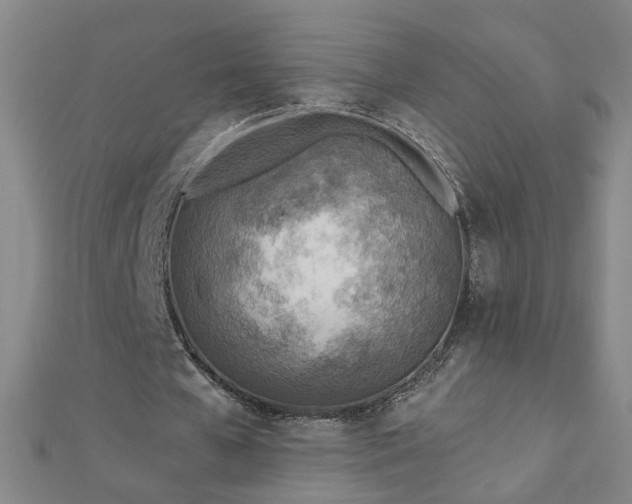 X0000112760577200908271621