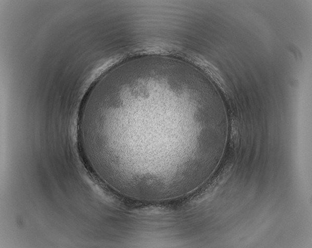 X0000112760578200908271621