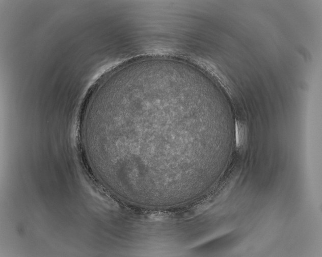 X0000112760579200908271621