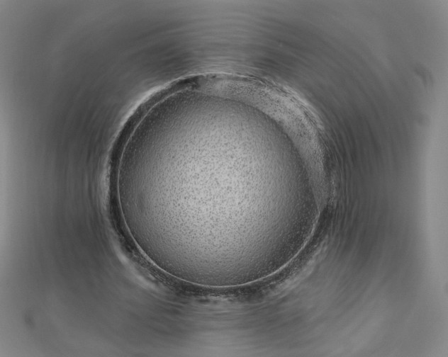 X0000112760580200908271621