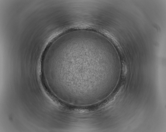 X0000112760582200908271621