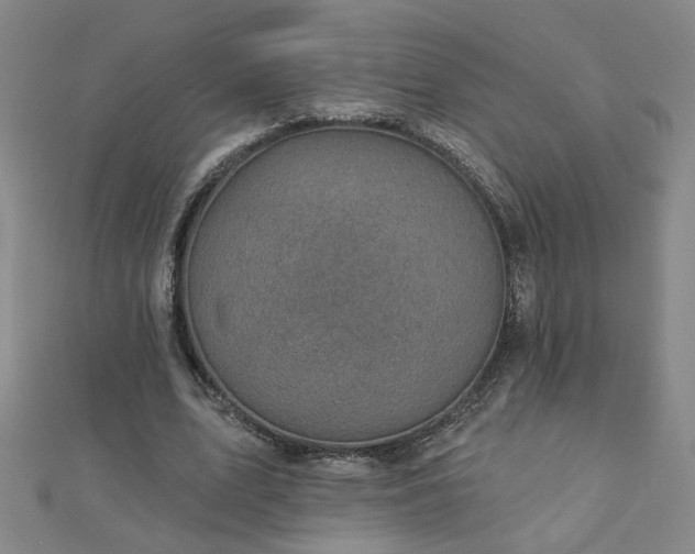 X0000112760583200908271621