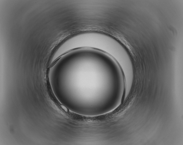 X0000112760585200908271621