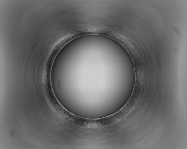X0000112760587200908271621