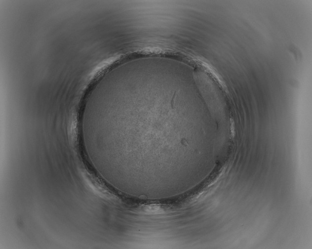 X0000112760588200908271621