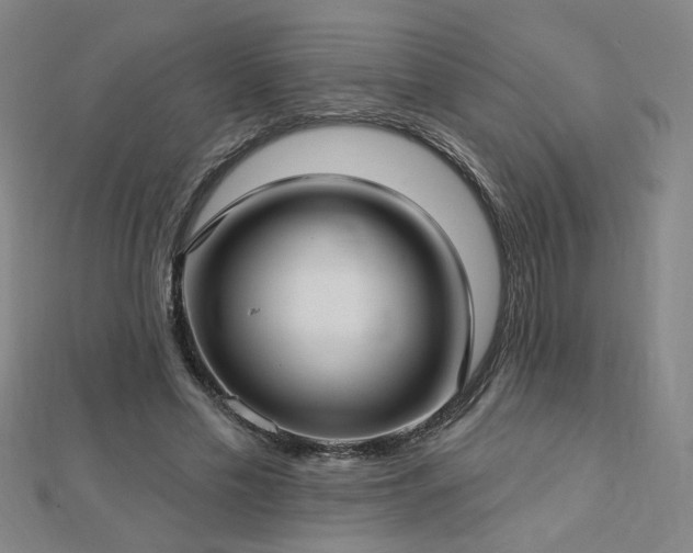 X0000112760589200908271621