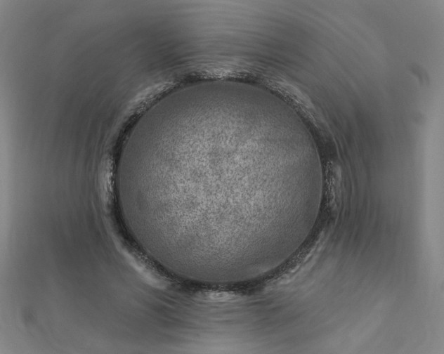 X0000112760590200908271621