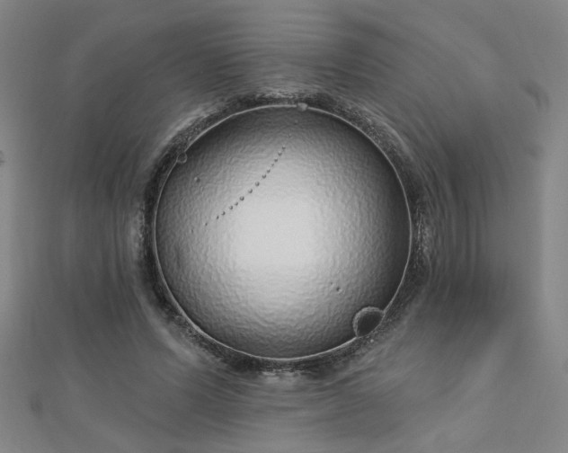 X0000112760591200908271621