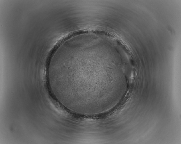 X0000112760592200908271621