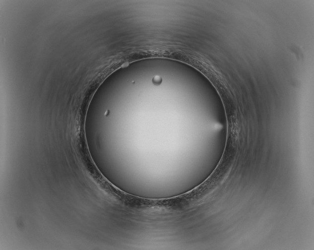 X0000112760593200908271621