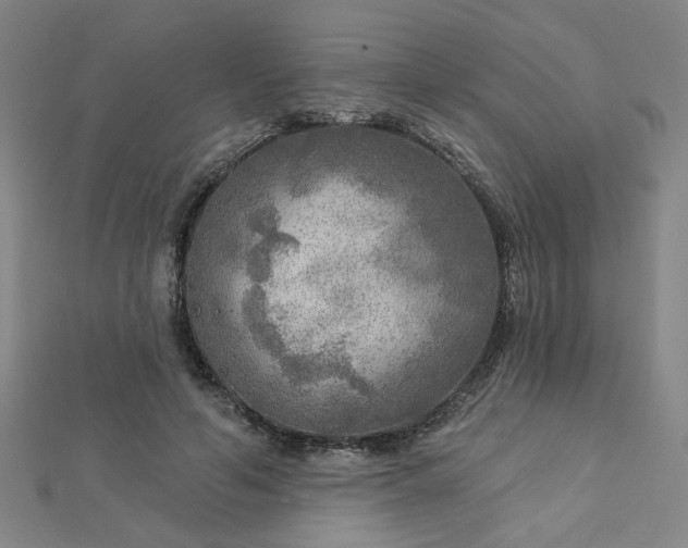 X0000112760594200908271621