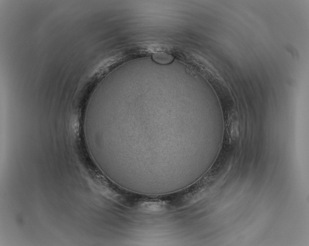 X0000112760595200908271621