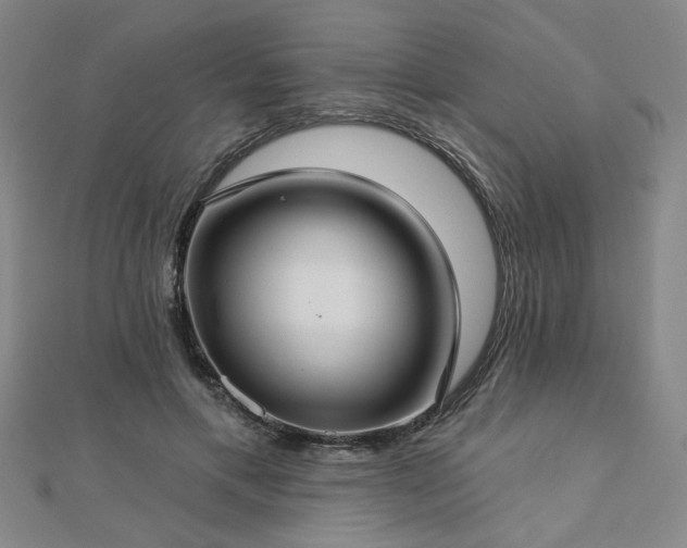 X0000112760597200908271621