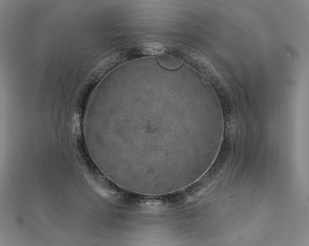 X0000112760598200908271621