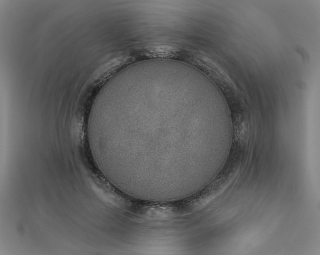 X0000112760599200908271621