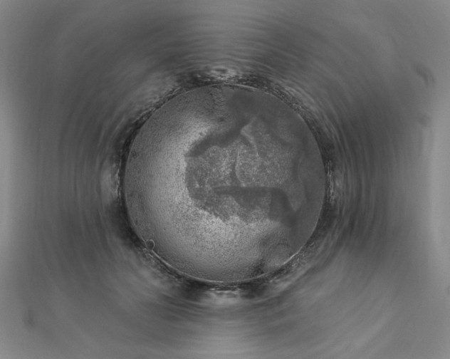 X0000112760606200908271621