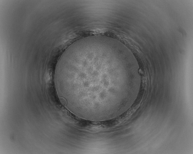 X0000112760608200908271621