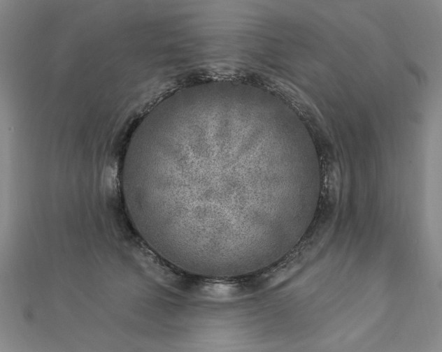 X0000112760610200908271621