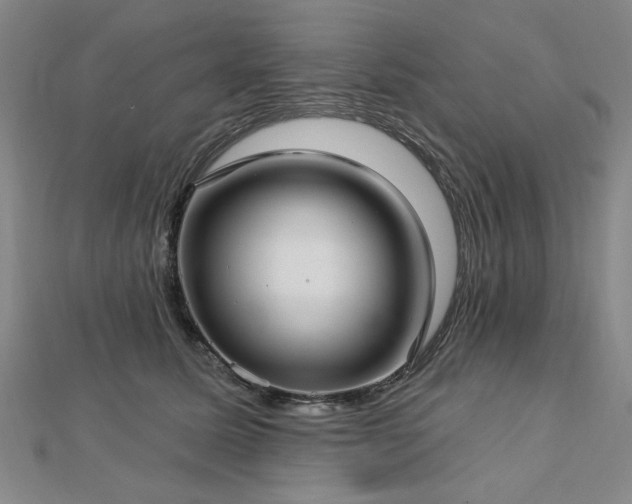 X0000112760611200908271621
