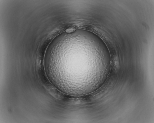 X0000112760615200908271621