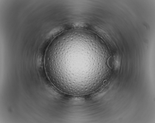 X0000112760619200908271621