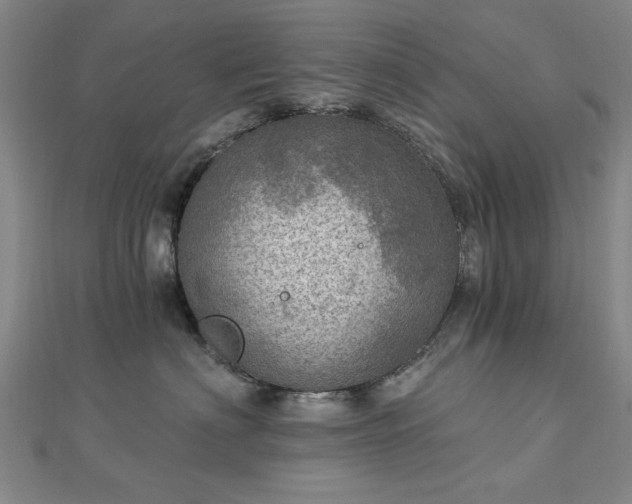 X0000112760622200908271620
