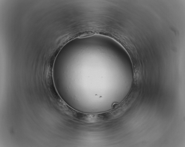 X0000112760623200908271620