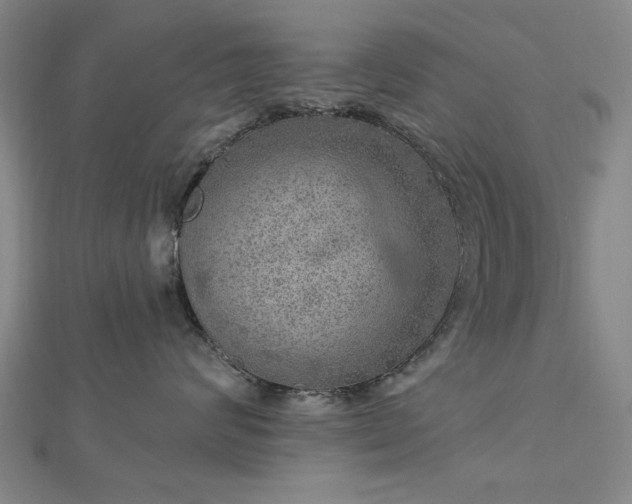 X0000112760624200908271620