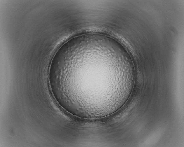 X0000112760625200908271620