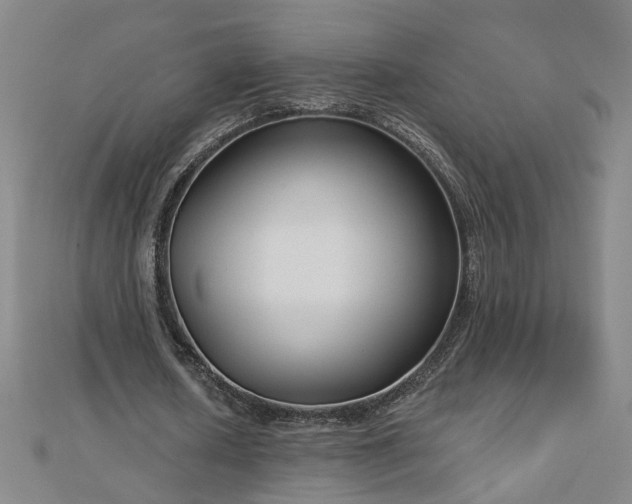 X0000112760626200908271620