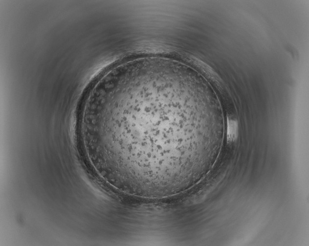 X0000112760627200908271620