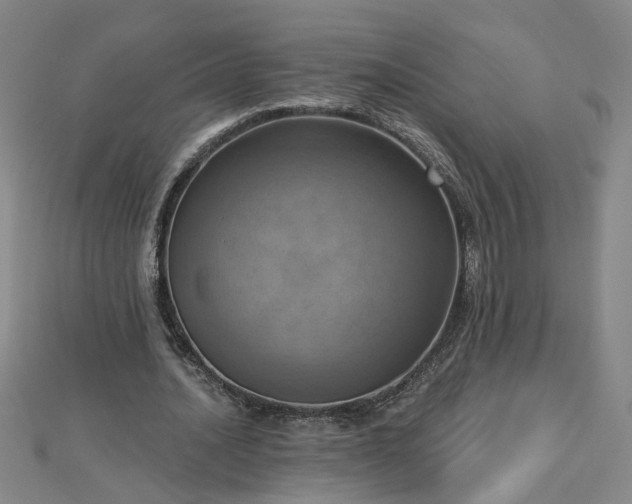 X0000112760628200908271620