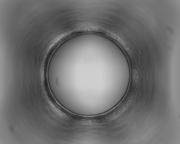 X0000112760629200908271620